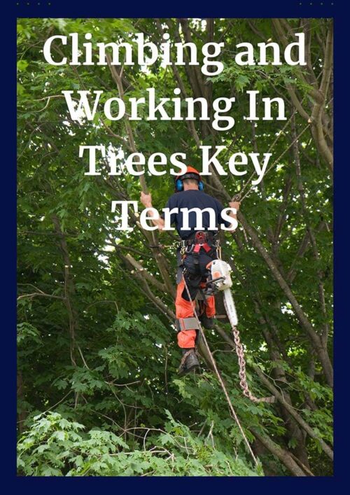 Climbing and Working in Trees CEU