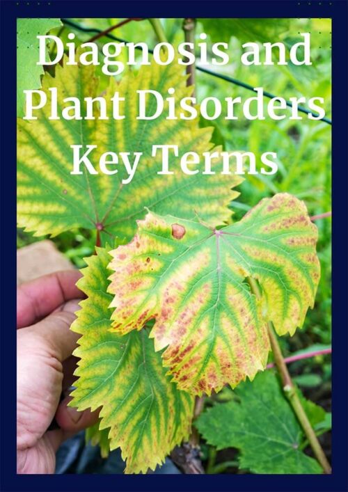 Diagnosis and Plant Disorders CEU
