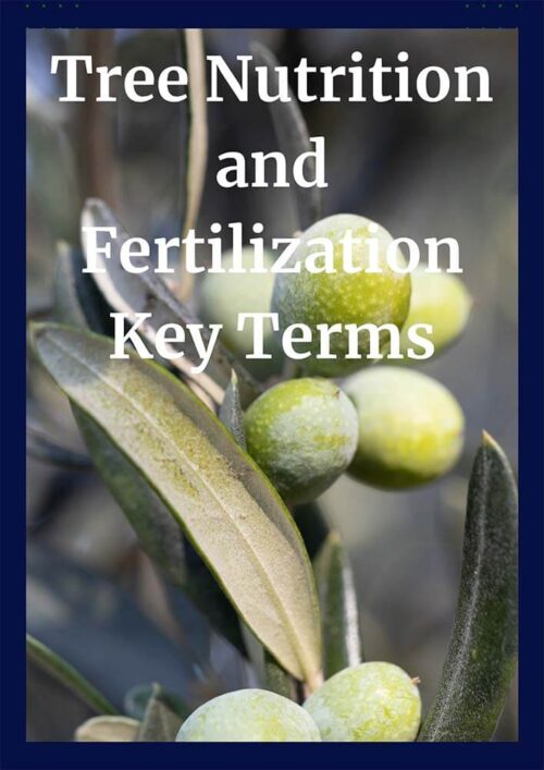 Tree Nutrition and Fertilization CEU