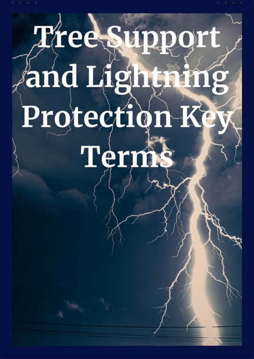 Tree Support and Lightning Protection CEU