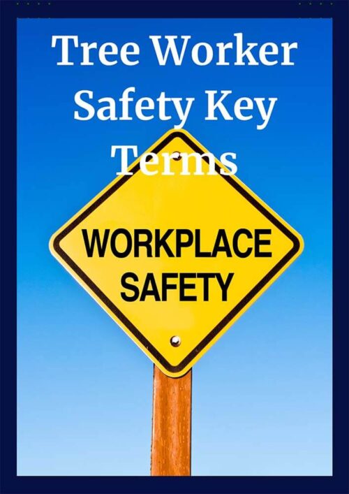 Tree Worker Safety CEU