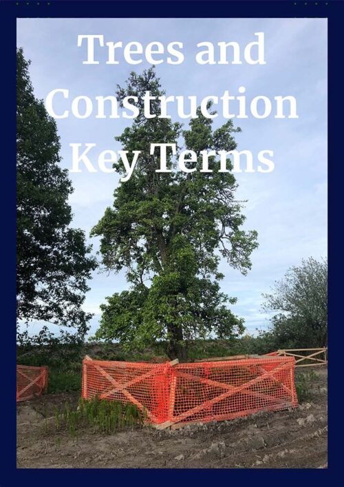 Trees and Construction CEU