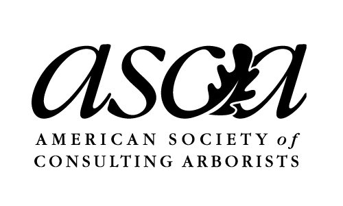 American Society of Consulting Arborists