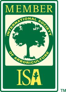 Member Of The ISA